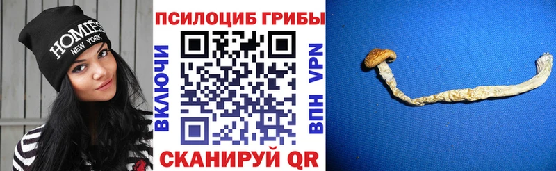 Галлюциногенные грибы прущие грибы  Слюдянка 